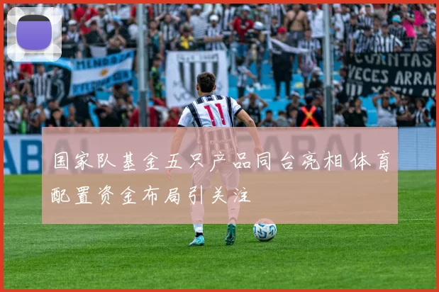 国家队基金五只产品同台亮相 体育配置资金布局引关注
